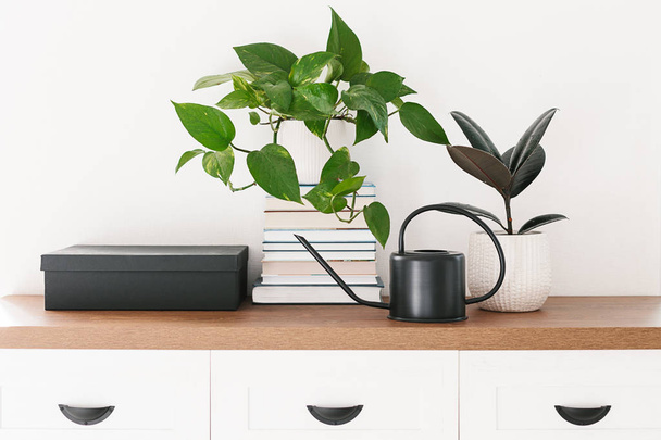 Different houseplants, pile of books and black watering can arranged on the wooden shelf. Scandinavina interiors detail - Photo, image