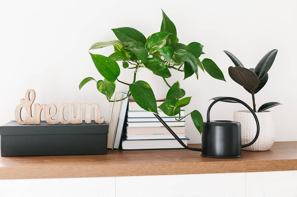 Dream letters , different houseplants, pile of books and black watering can arranged on the wooden shelf. Scandinavina interiors detail - 写真・画像