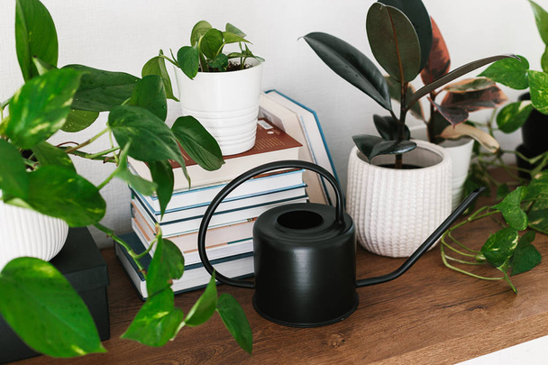 Different houseplants, pile of books and black watering can arranged on the wooden shelf. Scandinavina interiors detail - Photo, Image