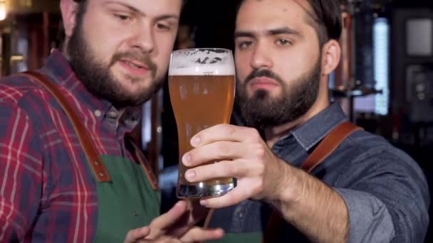 Cerveceros profesionales examinando deliciosa cerveza artesanal en un vaso
 - Metraje, vídeo