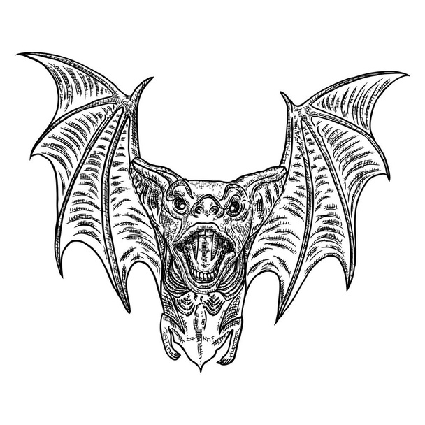 Bat with open wings drawing. Gothic illustration of monsters for the Halloween. Witchcraft magic, occult attributes decorative elements. Drawing of night creatures. Flying vampire. Vector. - Вектор, зображення