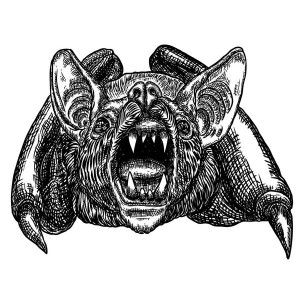 Bat head or face drawing. Gothic illustration of aggressive monsters for the Halloween. Witchcraft magic, occult attributes decorative elements. Drawing of night creatures with open fangs.  - Vector, imagen