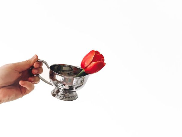 Ruka držící stylové vintage kovov kytičkový červený Tulipán, izolované na bílém s kopie prostoru. Stylový kreativní obraz, Ahoj jaro koncept. Jemná péče o nápad, uložit květina. Vůně svěží vůně koncept - Fotografie, Obrázek