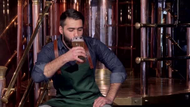 Alegre cervecero descansando en su cervecería después de trabajar, bebiendo deliciosa cerveza
 - Metraje, vídeo