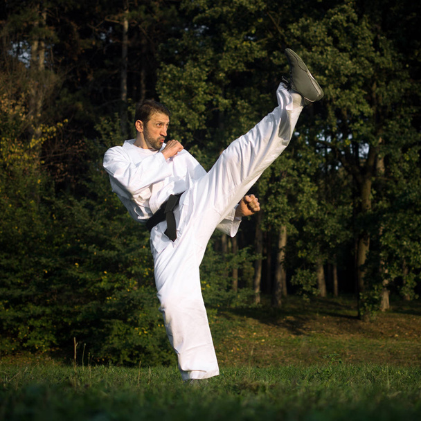 Человек в белом кимоно с черным поясом практикует боевые искусства и делает высокие удары в природе
. - Фото, изображение
