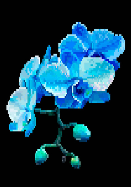 Vector pixel art flower aislado sobre fondo negro. Flores de pradera azul. Ilustración vectorial
. - Vector, imagen