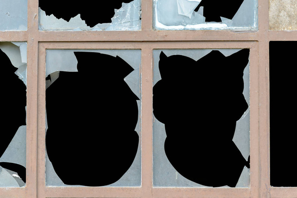Vieille fenêtre avec vitres cassées en verre blanc opaque aux bords dentelés en vue rapprochée
 - Photo, image