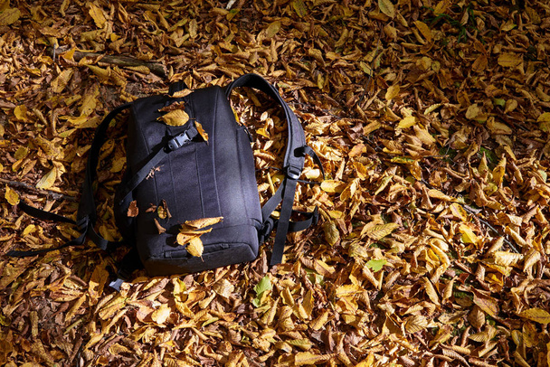 zwarte rugzak voor fotografische apparatuur, die op droge Herfstblad ligt - Foto, afbeelding