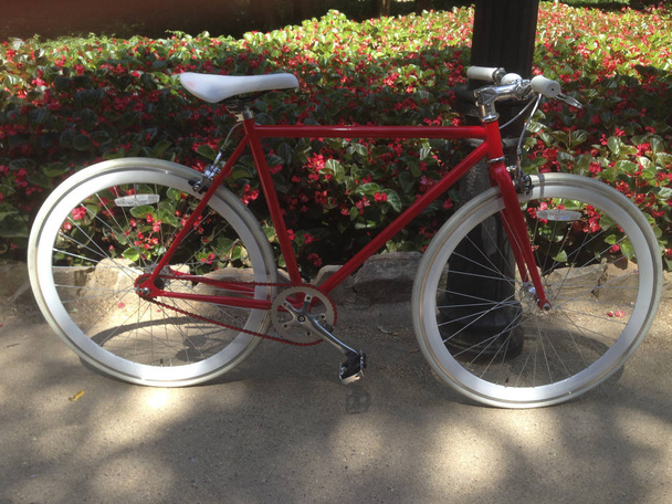 Bicicleta de engrenagem fixa vermelha estacionada no jardim urbano. Flores vermelhas no fundo
 - Foto, Imagem