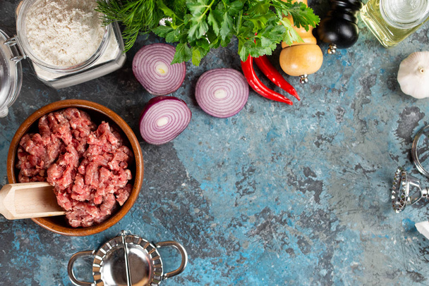 Raw minced meat and species on turquoise background - Photo, Image