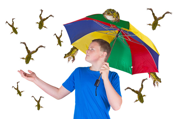 het regent kikkers - Foto, afbeelding