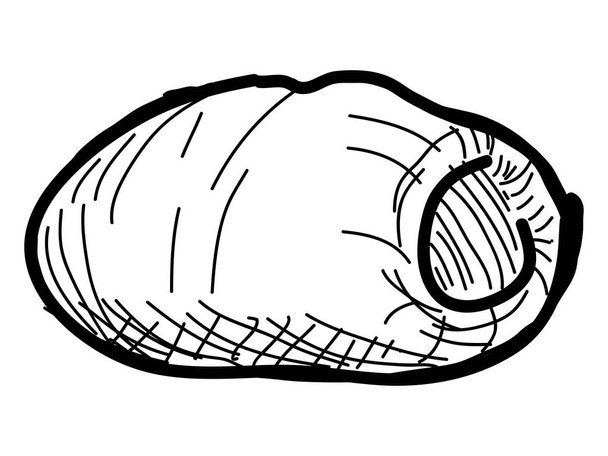 Isolated vintage sketch of a sausage croissant - Vetor, Imagem