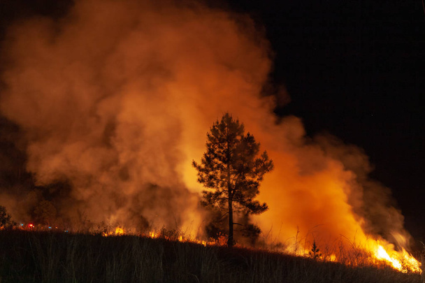 Szeroki strzał z szaleje grassfire wildfire z pogotowia światła w tle. Obrazu inspiracji dla bushfire ostrzeżenie, lato bushfire ostrzeżenie plakat lub meme w formacie portret - Zdjęcie, obraz