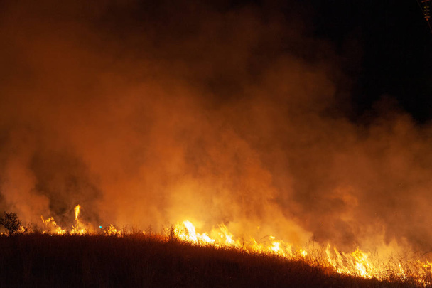 Zuří požár trávy v noci. Inspirace pro nebezpečí, varování bushfire, letní bushfire sezóna plakátů nebo memy. Tapety nebo intenzivní barvy nebo barvy pozadí - Fotografie, Obrázek