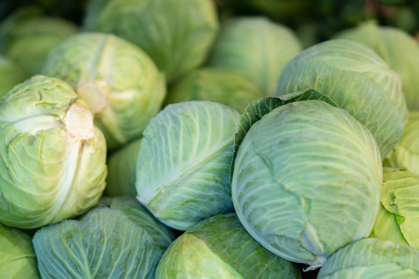 Green cabbage for sale at a farmer's market stall - Photo, Image