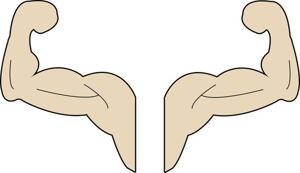 contorno del brazo muscular sobre el fondo blanco
 - Vector, Imagen