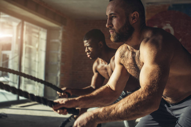 Two multiethnic bare chest sportsmen exercising with battle ropes at the gym. - Fotó, kép