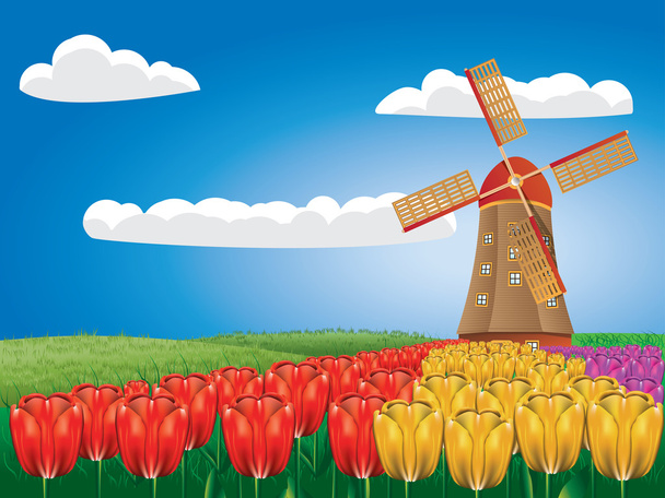 Ветряная мельница и тюльпаны
 - Вектор,изображение