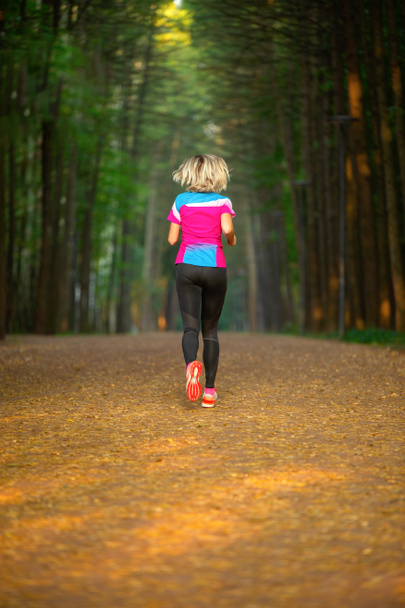 Image from back of sports woman running through park among trees on summer. - Photo, Image