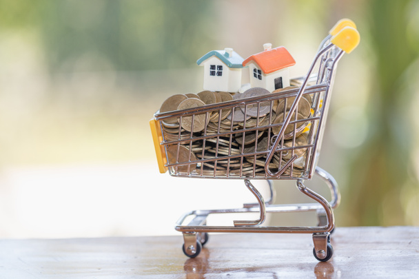 Modelo de casa y moneda en el concepto de carrito de compras para el ahorro de hipotecas, la compra de una casa
 - Foto, Imagen