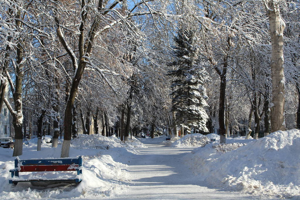 市内で雪に覆われた路地/街の路地の写真します。冬のシーズン。雪がたくさん。この日は晴れ、空が青い。寒い、霜、雪のシーズンの都市の美しい風景. - 写真・画像