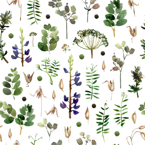 Isolated on white background seamless pattern with botany for your design, wallpaper, textile, wrapping paper and other.  - Foto, Imagem
