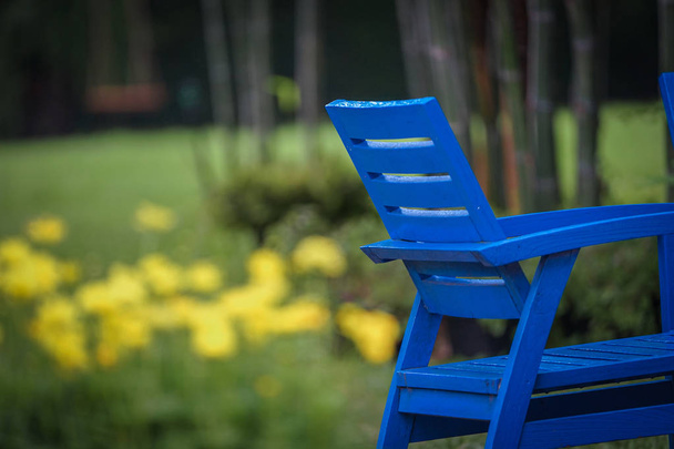 cadeira meio azul no jardim com borrão flor amarela no fundo
. - Foto, Imagem