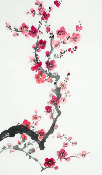 flowering branch of plum - Foto, afbeelding