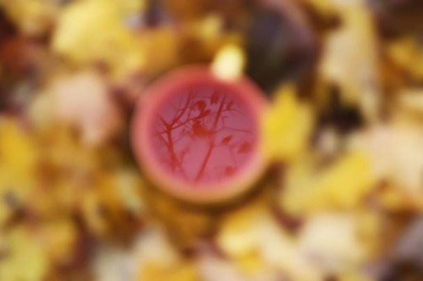 Čaj a podzimní listí - Fotografie, Obrázek