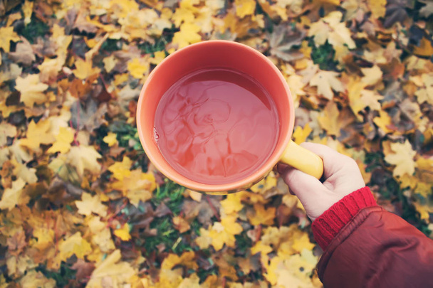 Une tasse de thé noir dans une main sur fond coloré automne feuilles d'automne - Photo, image