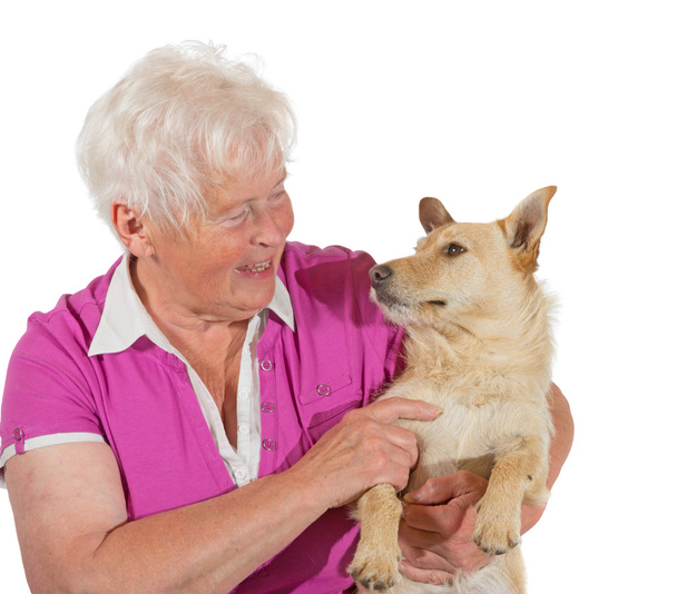 Rakkaus iäkkään naisen ja koiran välillä
 - Valokuva, kuva
