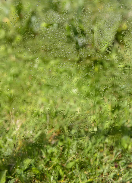 Mokre szkło z kroplami deszczu na zielonym tle trawy - Zdjęcie, obraz
