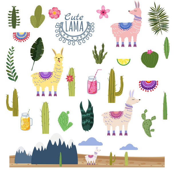 Set Lama Alpaca cactus bevande e decorativi. Collezione di elementi per la decorazione, vettore, illustrazione, isolato, stile carino
 - Vettoriali, immagini