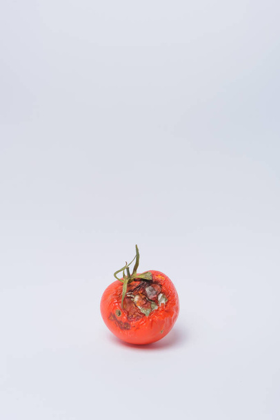 Rotten tomato. Mold on vegetables. Rotten product. Spoiled food. Rotten vegetable. Tomato with mold. Mold fungus. Broken the surface of the tomato. A product that has been affected by mold. - Photo, Image