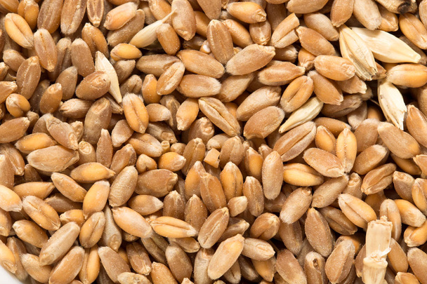 Wheat grain as background - Photo, Image