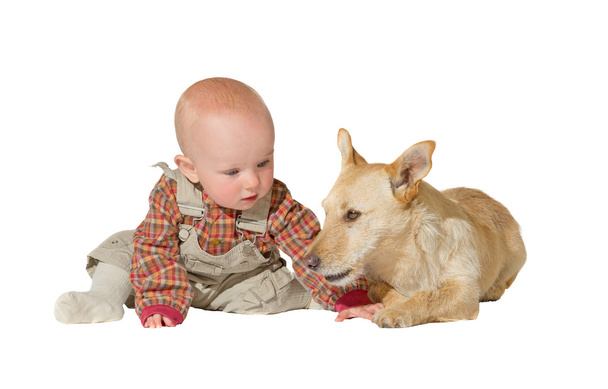 Jack russel terrier and baby - Photo, Image