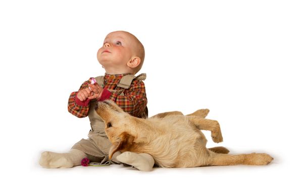 Jovem bebê brincando com um cão
 - Foto, Imagem