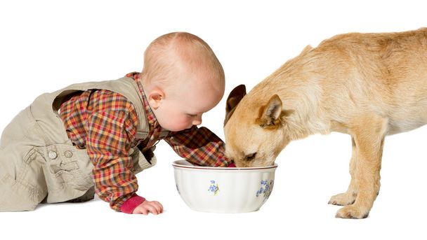 baby- en hond - Foto, afbeelding