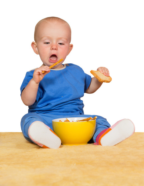 小さな赤ちゃんのビスケットを食べる - 写真・画像