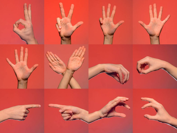 Colección de gestos y signos de mano masculinos aislados sobre fondo rojo. Conjunto de múltiples imágenes. Parte de la serie 2019
 - Foto, Imagen