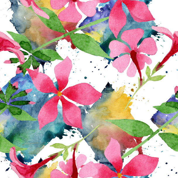 rosa Phlox für botanische Blume. Aquarell Hintergrundillustration Set. nahtloses Hintergrundmuster. - Foto, Bild