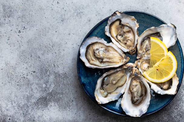Aantal half dozijn verse geopende oesters in de schaal met partjes citroen geserveerd op rustieke blauw bord op grijze stenen achtergrond, close-up, bovenaanzicht, ruimte voor tekst - Foto, afbeelding