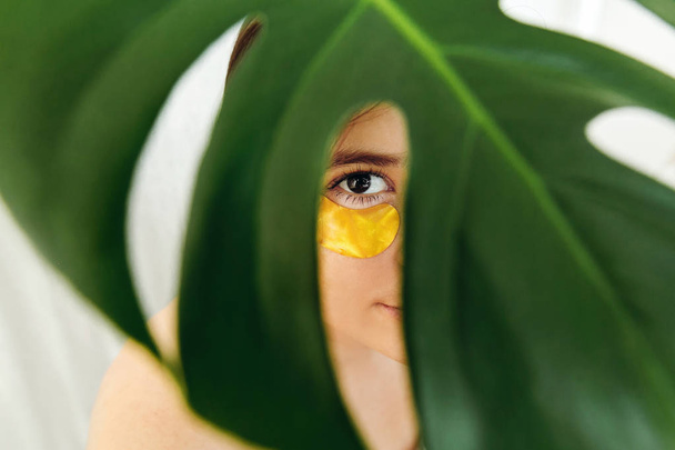 Trattamento e cura della pelle degli occhi. Ritratto di bella giovane donna con benda dorata sotto foglia di palma verde, fotografia creativa di bellezza. Ragazza con macchie anti-rughe sollevanti sotto gli occhi. Cosmetici
 - Foto, immagini