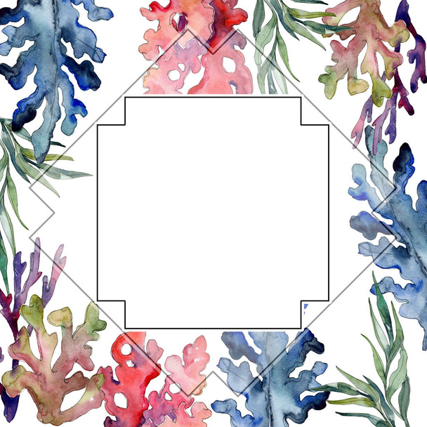 Red and blue aquatic underwater nature coral reef. Watercolor background set. Frame border ornament square. - Foto, Bild