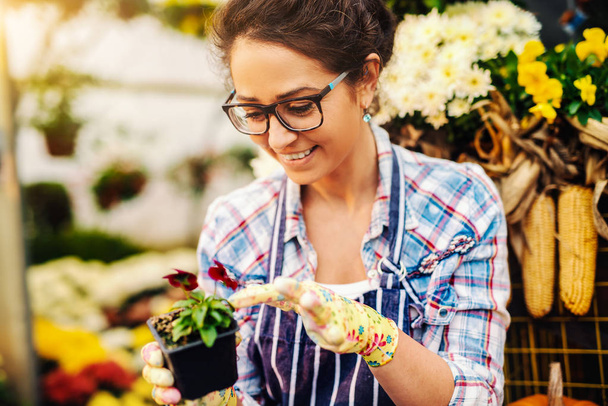 Close up of smiling cute florist with eyeglasses and apron holding little flower in pot. Greenhouse interior. - Photo, Image