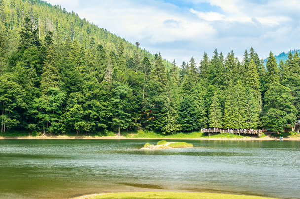 красиві літні пейзажі озера Синевир. пірс серед хвойних лісів на березі. популярний туристичний напрямок Карпатських гір. сонячна погода з похмурим небом
 - Фото, зображення