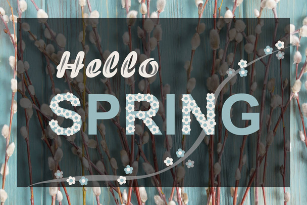 Hello spring. Banner with a photo on a blue background and willow branches. Greeting banner on the topic hello spring. - Foto, Bild
