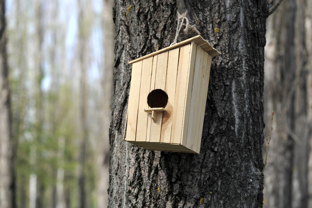dřevěná ptačí budka na stromě - Fotografie, Obrázek