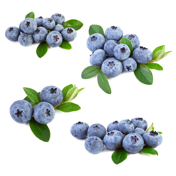 blueberries collage - Photo, Image