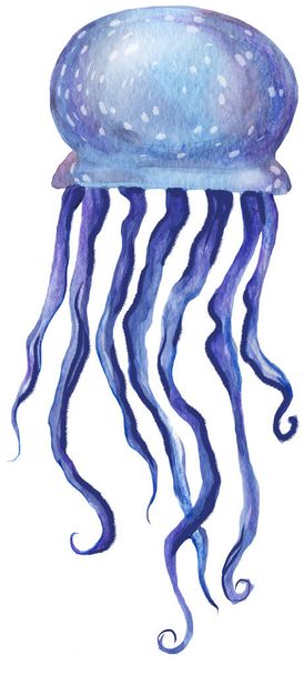 Watercolor bright hand-drawn jellyfish on the white isolated background.  - Φωτογραφία, εικόνα
